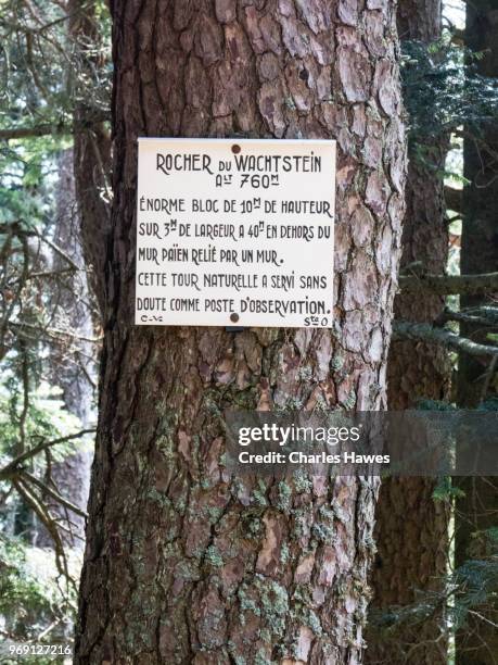 sign on tree for the rocher du wachtstein. images taken in the alsace region of france between andlau and obernai - rocher stock pictures, royalty-free photos & images