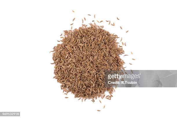 pile of dry caraway seeds isolated on white background - cumin bildbanksfoton och bilder