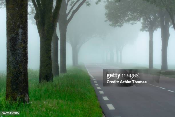 mystic countryroad, champagne, france, europe - troyes champagne ardenne stockfoto's en -beelden