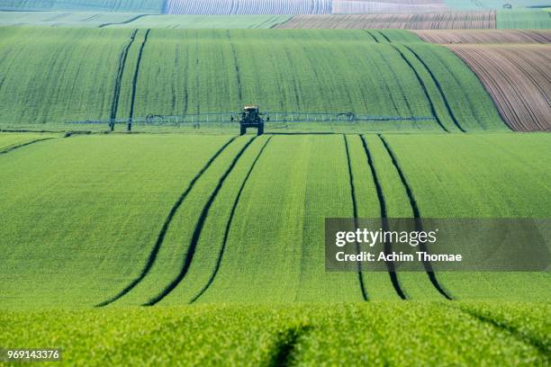 rolling fields, france, europe - champ ferme photos et images de collection