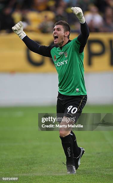 Phoenix keeper Liam Reddy celebrates after making a save in a penalty shootout during the A-league Semi Final match between the Wellington Phoenix...