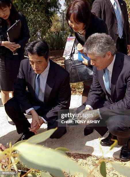 Japanese Foreign Minister Katsuya Okada and Australian Foreign Minister Stephen Smith study native flora after departing the State War Memorial of...