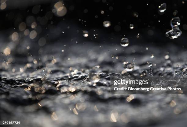 water used to cultivate wasabi is seen at a farm - wasser tropfen stock-fotos und bilder