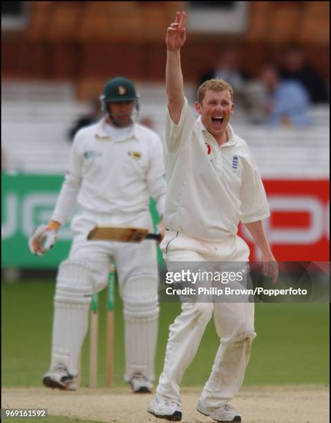 Anthony McGrath of England claims the wicket of Zimbabwe captain Heath Streak, LBW for 11 runs, during the 1st Test match between England and...