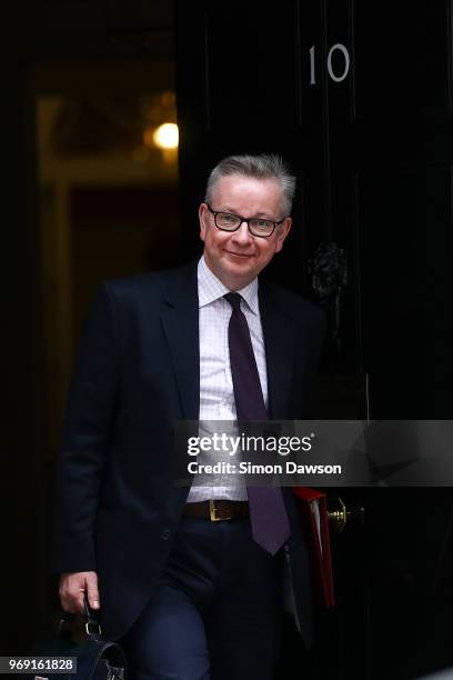 Britain's Environment Secretary Michael Gove leaves 10 Downing Street on June 7, 2018 in London, England. Prime Minister Theresa May is holding an...