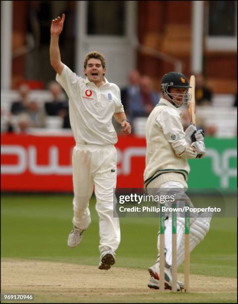 James Anderson of England celebrates the fourth of his five wickets in Zimbabwe's first innings as Andy Blignaut of Zimbabwe is caught behind for 3...