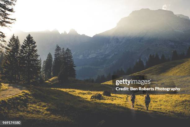 hikers in the swiss alps - fato foto e immagini stock