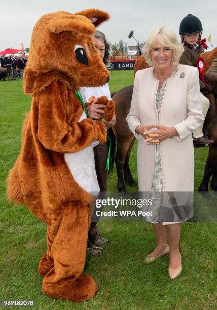 Camilla, Duchess of Cornwall, who is also Vice-President of the Royal Cornwall Agricultural Association attends the Royal Cornwall Show on June 07,...