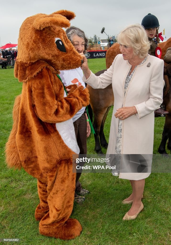 Royal Cornwall Show