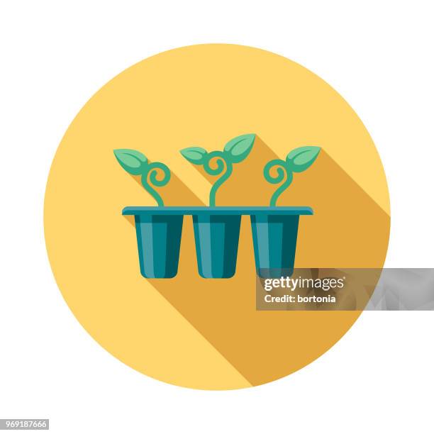 sämlinge flache designikone frühling - alfalfasprosse stock-grafiken, -clipart, -cartoons und -symbole