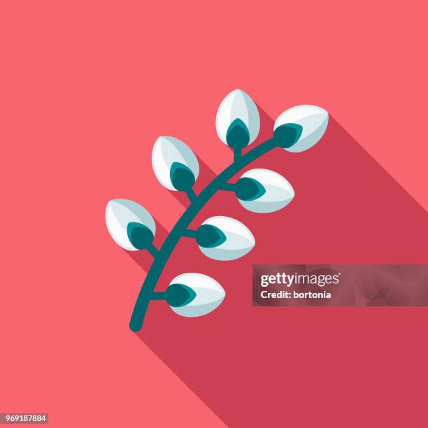 illustrations, cliparts, dessins animés et icônes de saule discolore design plat printemps icône - saule blanc