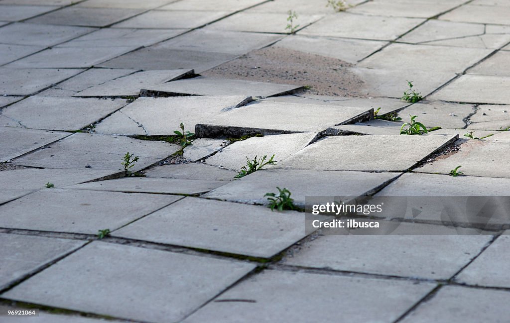 Earthquake effects on sidewalk