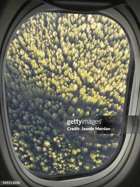 airplane window view on mountain forest - jasmin merdan stock-fotos und bilder