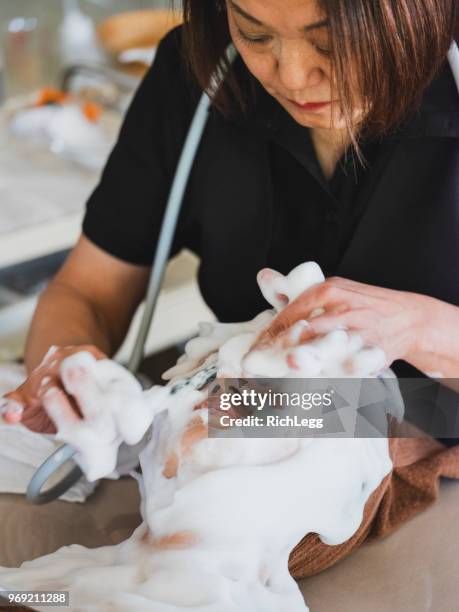 japanische gesichtsbehandlung - frau gesicht schaum stock-fotos und bilder