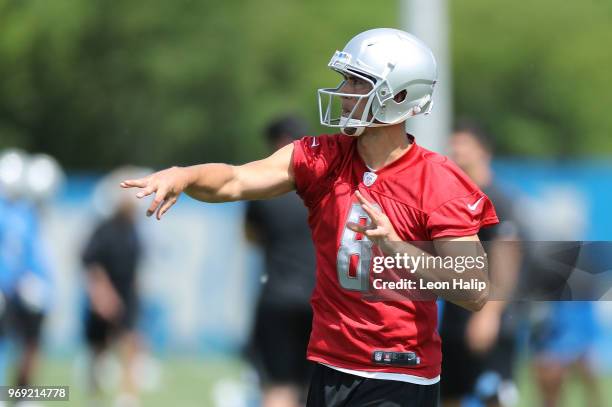 Matt Cassel of the Detroit Lions drops back to pass during the afternoon mini camp session at the Detroit Lions Training Facility on June 7, 2018 in...