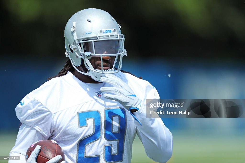 Detroit Lion Mini Camp