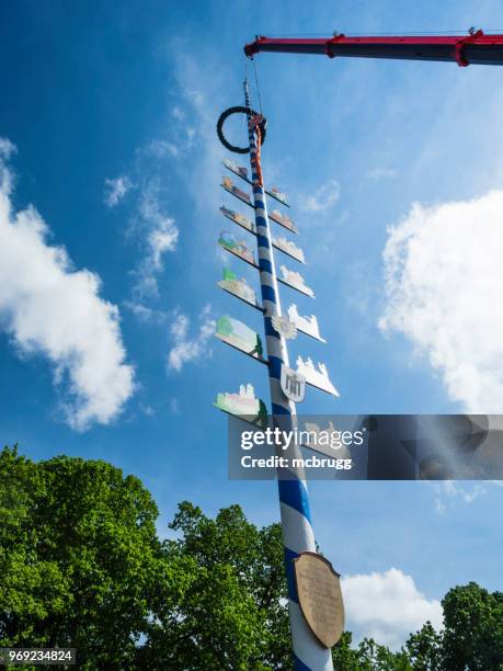 maibaum-setup mit einem kran - maibaum münchen stock-fotos und bilder