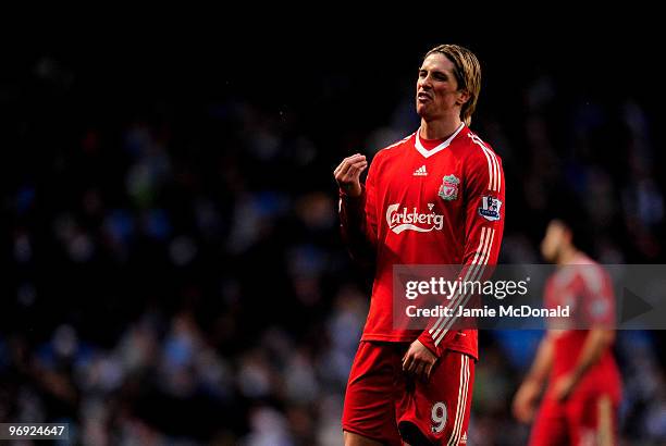 Fernando Torres of Liverpool gestures to the linesman during the Barclays Premier League match between Manchester City and Liverpool at City of...