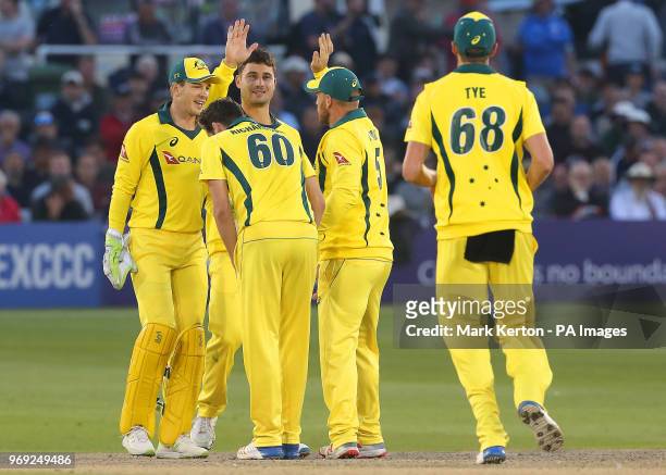 Australia's Marcus Stoinis and Tim Paine celebrate a wicket with team mates during the tour match at the 1st Central County Ground, Hove.