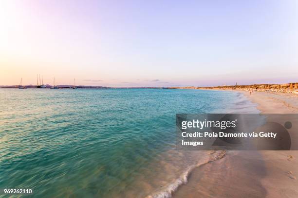 pristine emerald water in an idyllic beach of formentera, balearic islands, spain - pola damonte stockfoto's en -beelden
