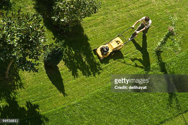 using lawn mower - garden stock pictures, royalty-free photos & images