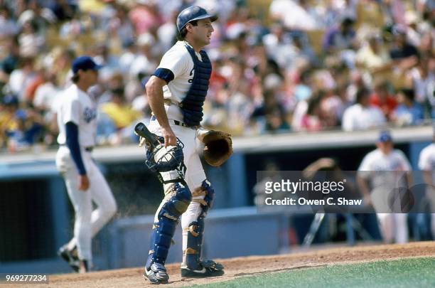 Mike Scioscia of the Los Angeles Dodgers at Dodger Stadium circa 1987 in Los Angeles, California.