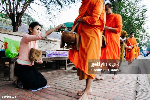 alms giving ceremony in luang prabang - laotian culture stock-fotos und bilder