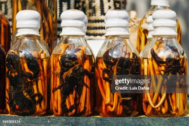 bottles of scorpion liquor - laotische kultur stock-fotos und bilder