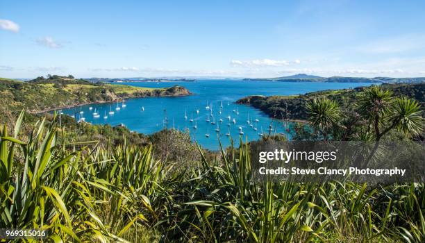 matiatia bay, waiheke island - waiheke island stock pictures, royalty-free photos & images