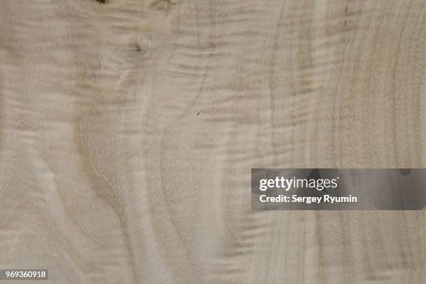 wooden texture - poplar stock pictures, royalty-free photos & images