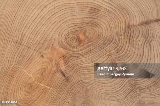 wooden texture - wood section fotografías e imágenes de stock