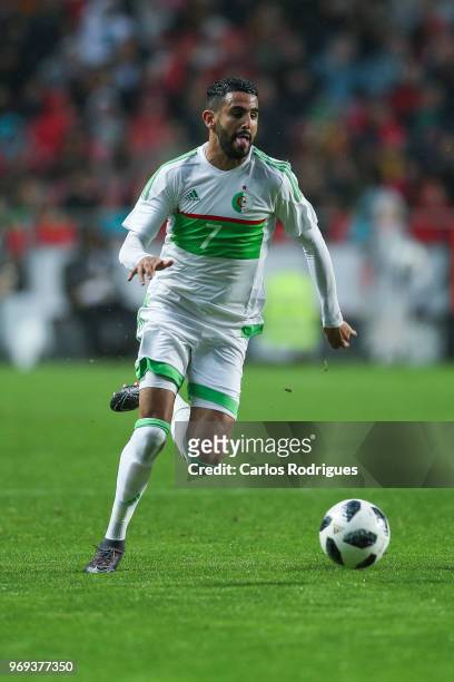 Algeria and Leicester City FC forward Riyad Mahrez during Portugal vs Algeria - International Friendly match at Estadio da Luz on June 7, 2018 in...