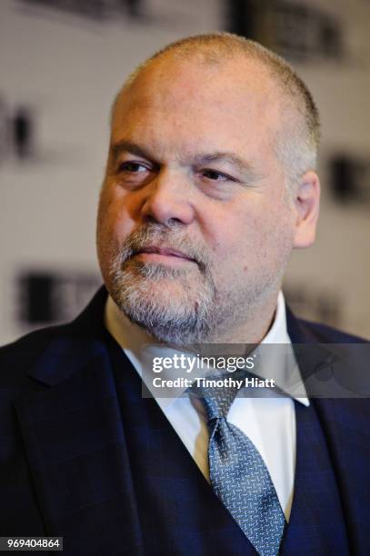 Vincent D'Onofrio attends the Gene Siskel Film Center Renaissance Award at the Ritz Carlton on June 7, 2018 in Chicago, Illinois.