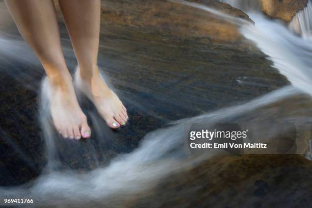 female bare feet in flowing water river rocks. royal natal drakensberg, ukhahlamba national park, kwazulu-natal, south africa - foot bone stock pictures, royalty-free photos & images