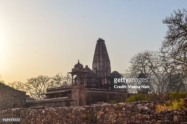 ancient jain temple-ranthambore fort/rajasthan - ranthambore fort stock pictures, royalty-free photos & images