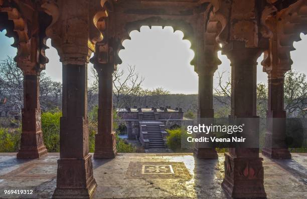 ranthambore fort/unesco world heritage site/rajasthan - ranthambore fort stock pictures, royalty-free photos & images