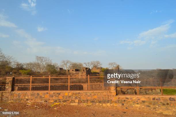 ranthambore fort/unesco world heritage site/rajasthan - ranthambore fort stock pictures, royalty-free photos & images