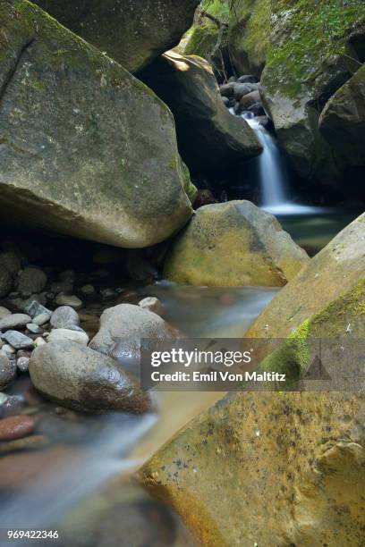 a full colour, long exposure, vertical image of the flowing endumeni river, in rainbow gorge, cathedral peak, drakensberg ukhahlamba national park, kwazulu-natal province, south africa - cathedral gorge stock pictures, royalty-free photos & images