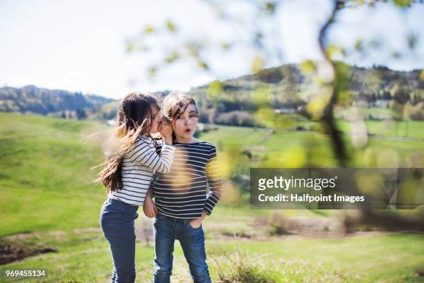 two school girls on a walk in spring nature, having fun. - child whispering stockfoto's en -beelden