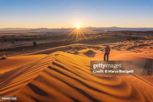 tourist admiring the sunset over the namib desert, namibia - sossusvlei stock pictures, royalty-free photos & images