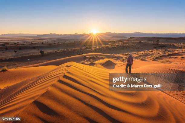 tourist admiring the sunset over the namib desert, namibia - namib naukluft national park 個照片及圖片檔