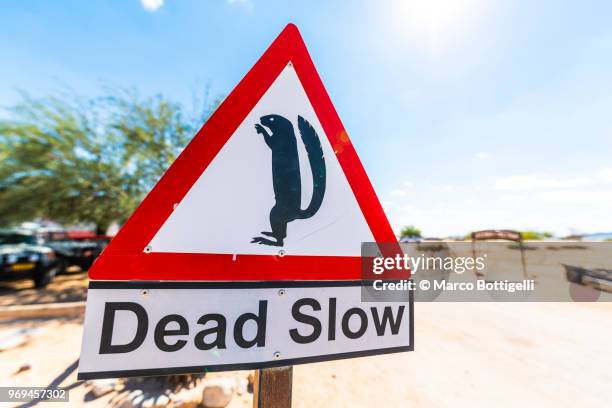 road sign of reducing speed, namibia - speed limit sign stock pictures, royalty-free photos & images
