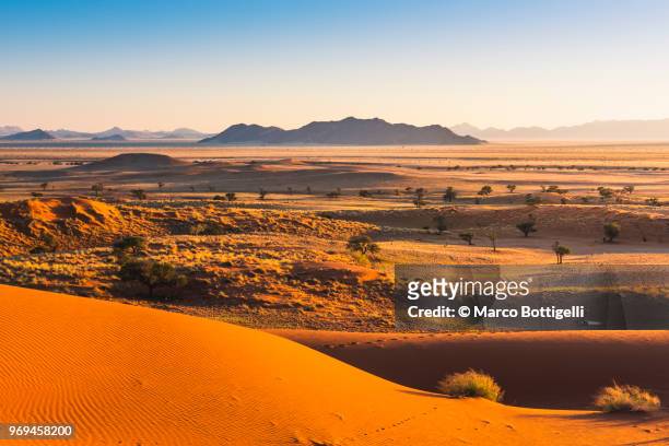 namib desert at sunrise, namibia - afrika landschaft stock-fotos und bilder