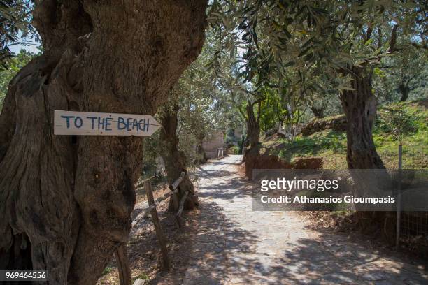 Walking path to Damouchari Beach on May 30, 2018 in Pelion, Greece. Damouchari Beach is natural little port situated on the eastern coast of Pelion...