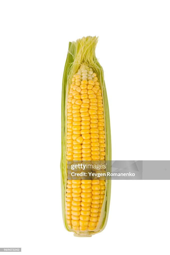 Corn cob isolated on a white background