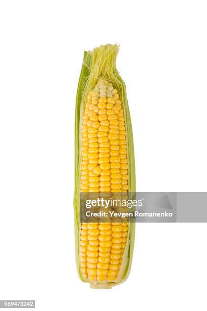 corn cob isolated on a white background - husk stockfoto's en -beelden