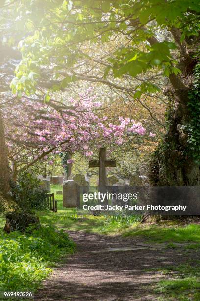 st john the baptist church and graveyard, boldre, lymington, hampshire, england - lymington stock pictures, royalty-free photos & images