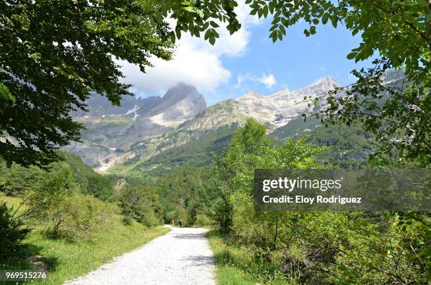 valle de pineta - pineta stock pictures, royalty-free photos & images