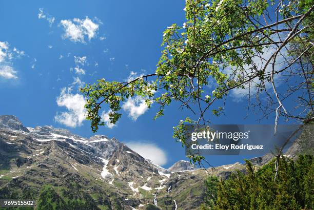 valle de pineta - pineta stock pictures, royalty-free photos & images