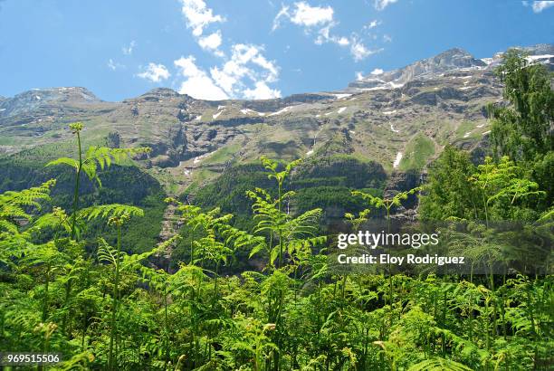 valle de pineta - pineta stock pictures, royalty-free photos & images
